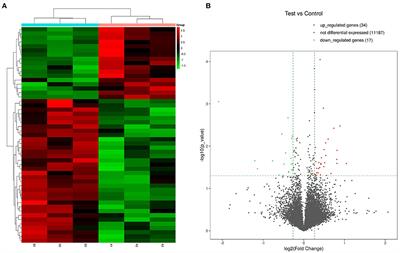 Functional role of cyanidin-3-O-glucoside in osteogenesis: A pilot study based on RNA-seq analysis